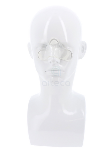 Cuscinetti nasali Gecko